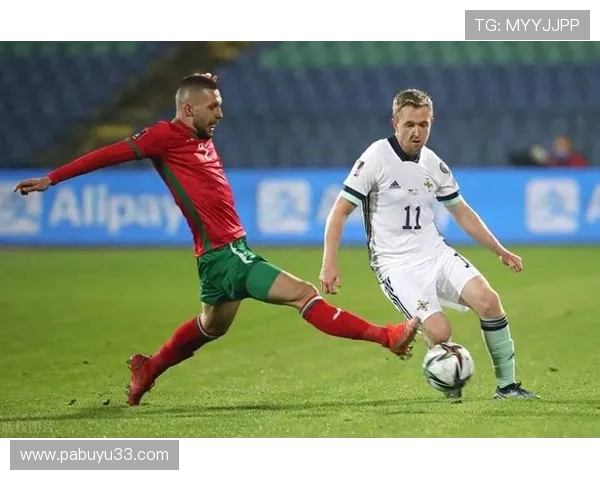 爱尔兰与奥地利对决直播:绿茵场上的激情碰撞